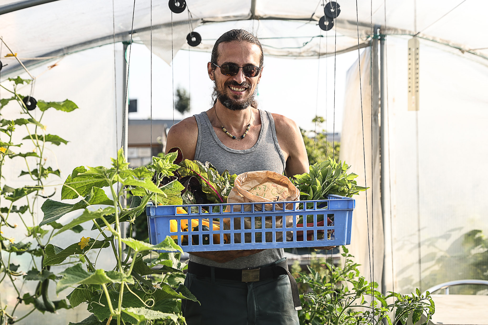 Le maraîchage urbain au service de l’insertion avec CultiCime  